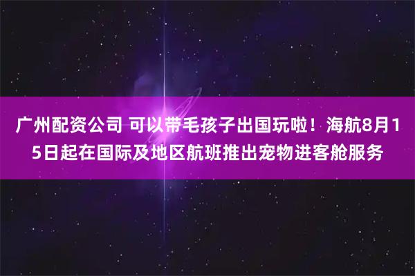 广州配资公司 可以带毛孩子出国玩啦！海航8月15日起在国际及地区航班推出宠物进客舱服务
