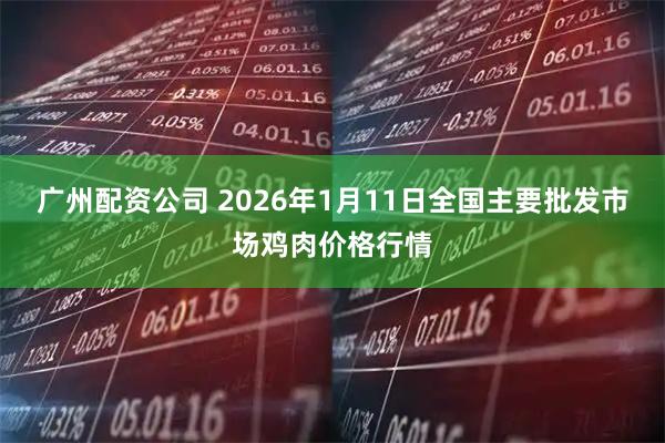 广州配资公司 2026年1月11日全国主要批发市场鸡肉价格行情