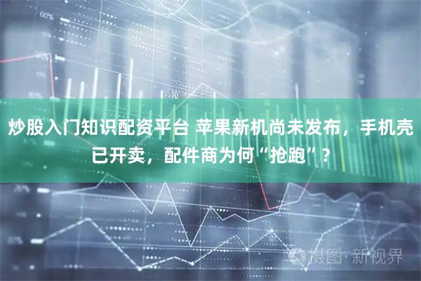 炒股入门知识配资平台 苹果新机尚未发布，手机壳已开卖，配件商为何“抢跑”？
